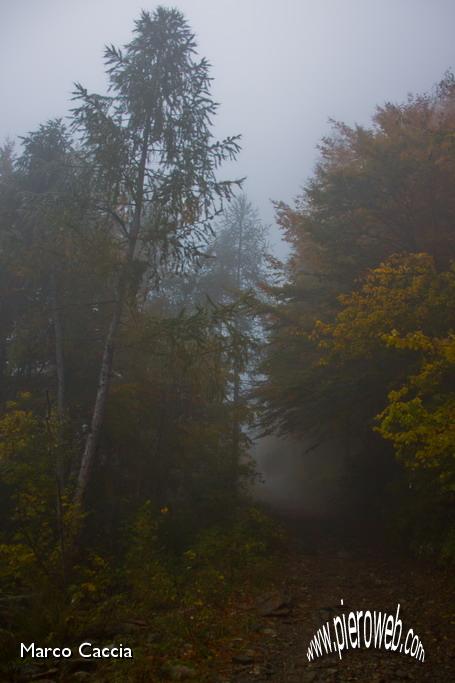 01_Nebbia unta.JPG